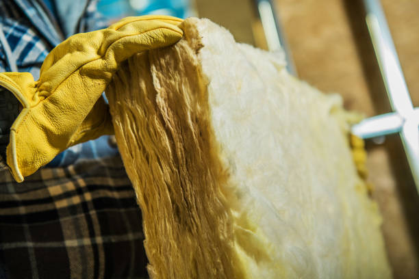 Best Eco-Friendly Insulation in East Atlantic Beach, NY